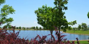 Find New Homes by Journey Homes New Home Community at Promontory Point Park Greeley, Colorado